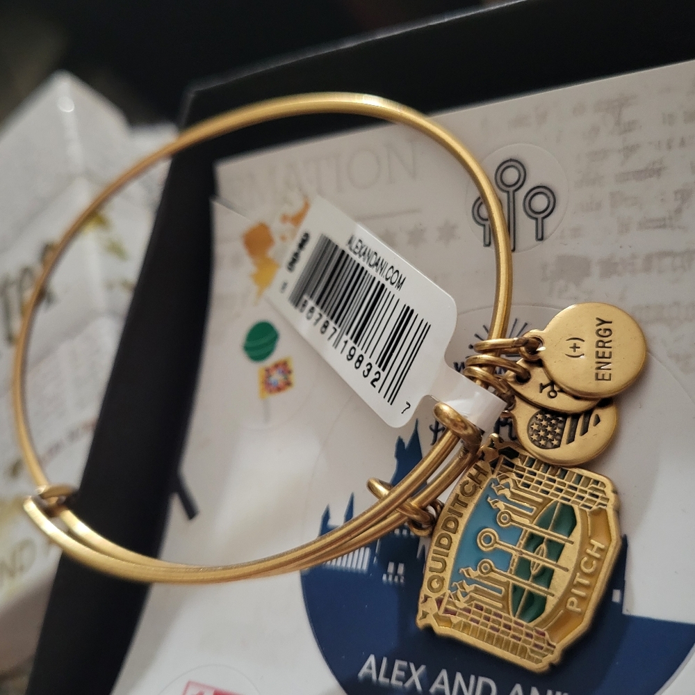 Charm Bracelet Alex & Ani Harry Potter Bangle Bracelet Quidditch Pitch NWT